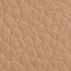 camel_textura