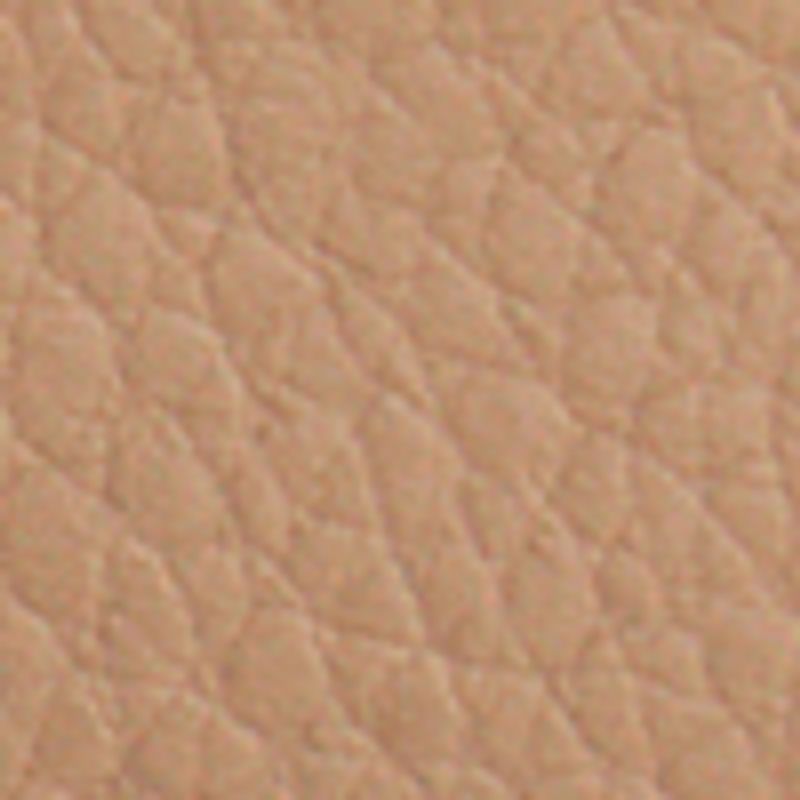 camel_textura