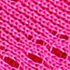 fucsia_textura