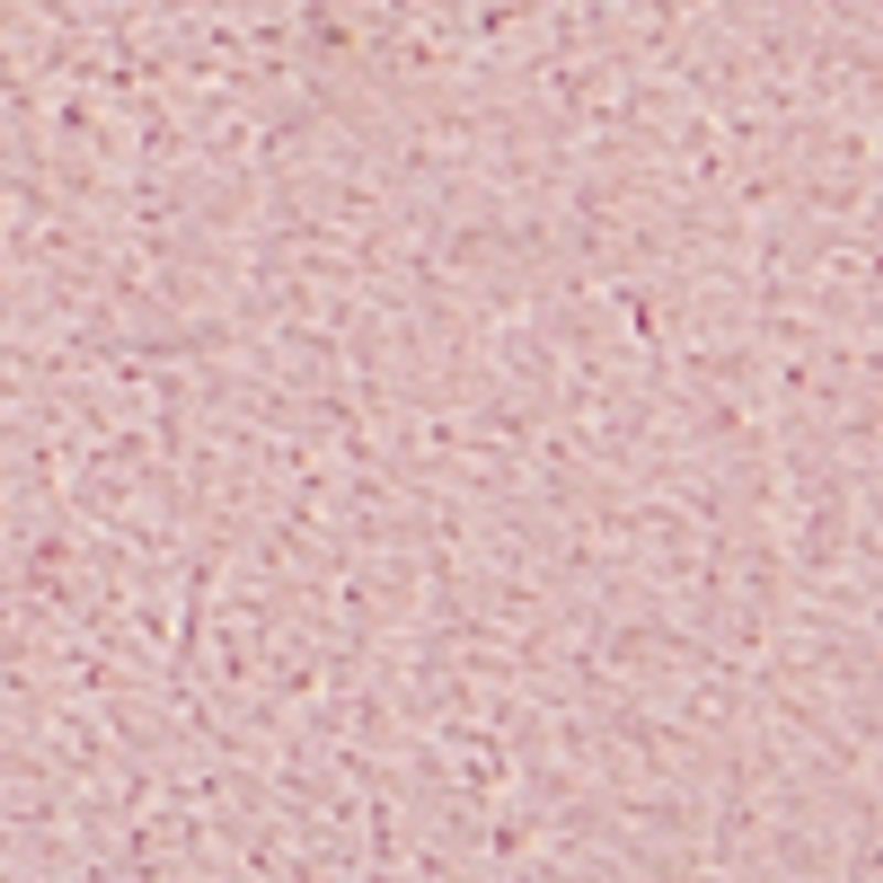 nude_textura