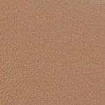 camel_textura