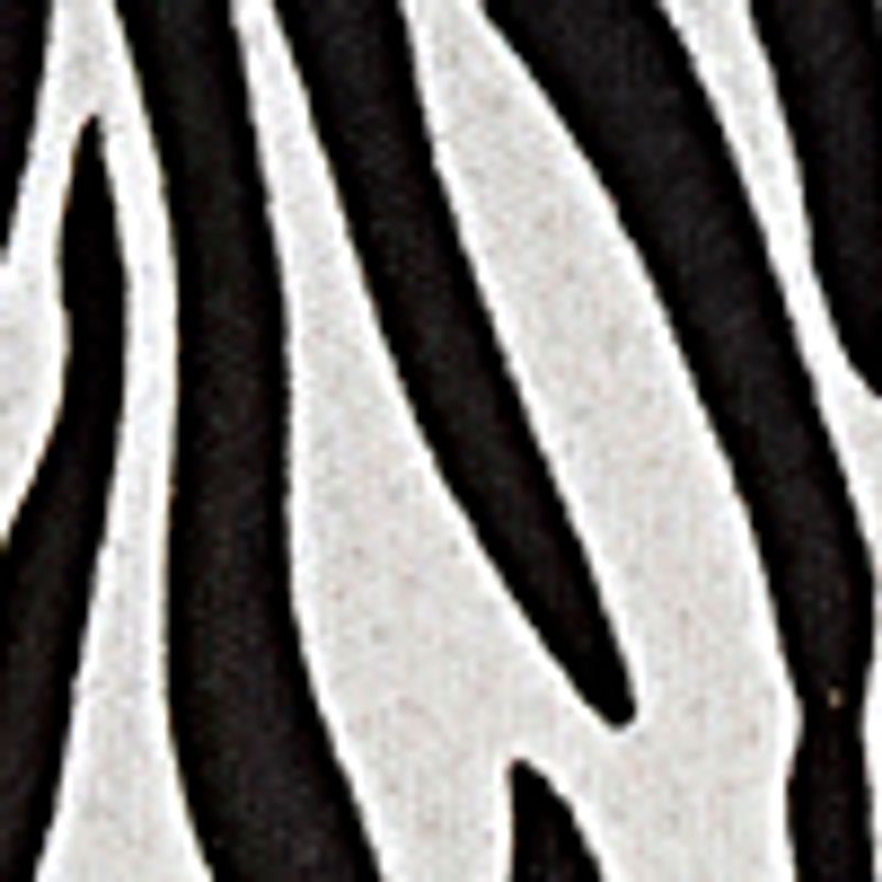 cebra_textura