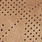 beige_textura