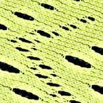 verde_textura