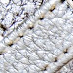 plata_textura
