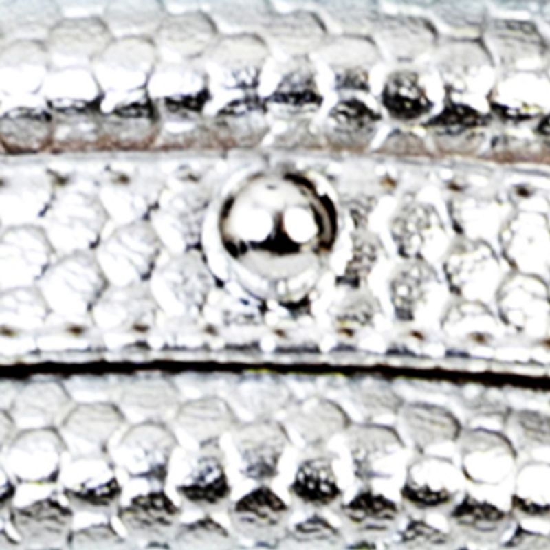 plata_textura