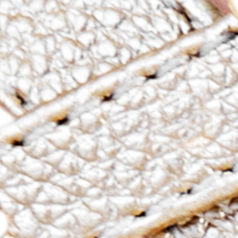 champaña_textura