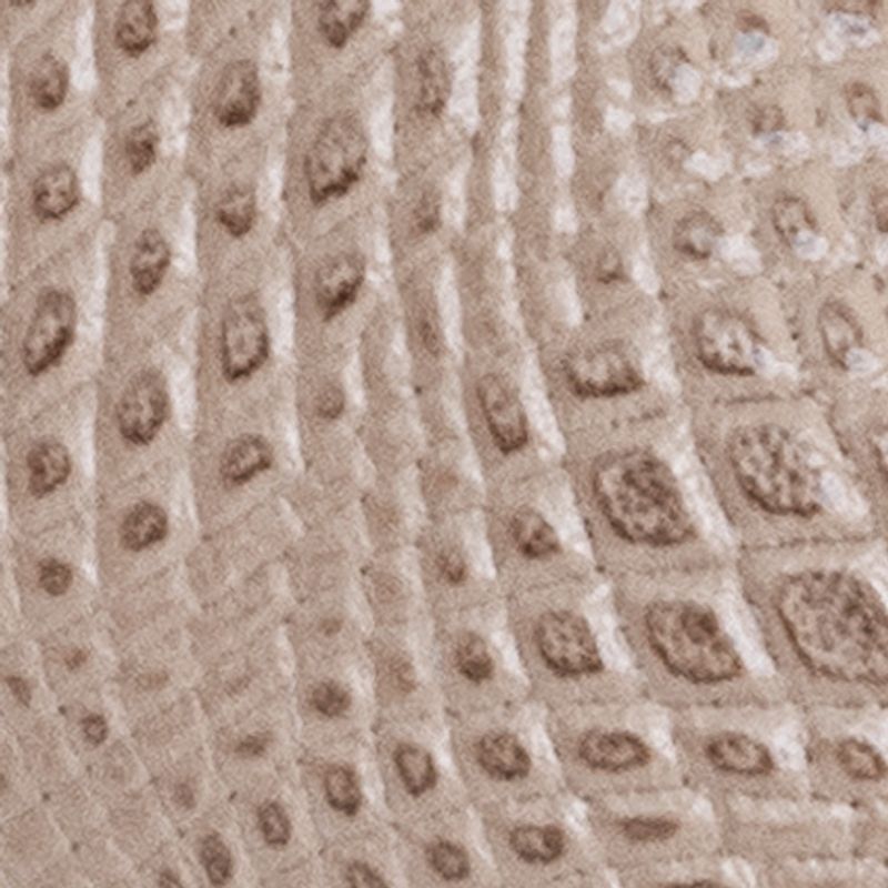 nude_textura