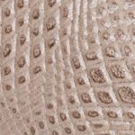 nude_textura