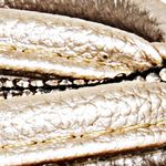 champaña_textura