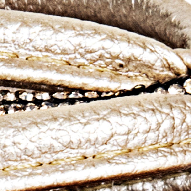 champaña_textura