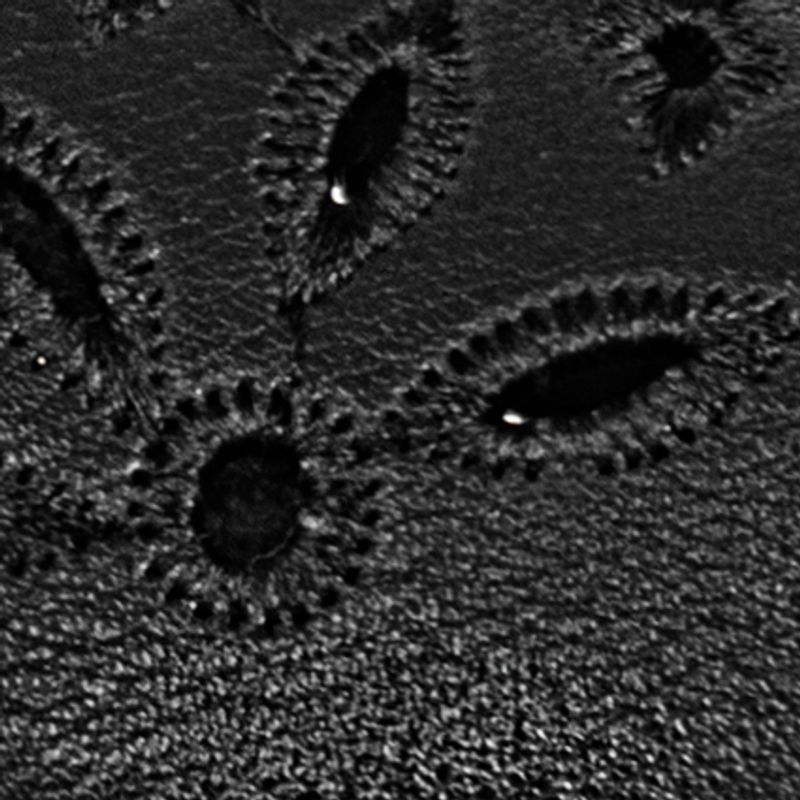 negro_textura