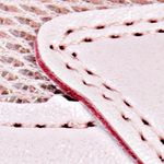 rosado_textura
