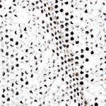 blanco_textura