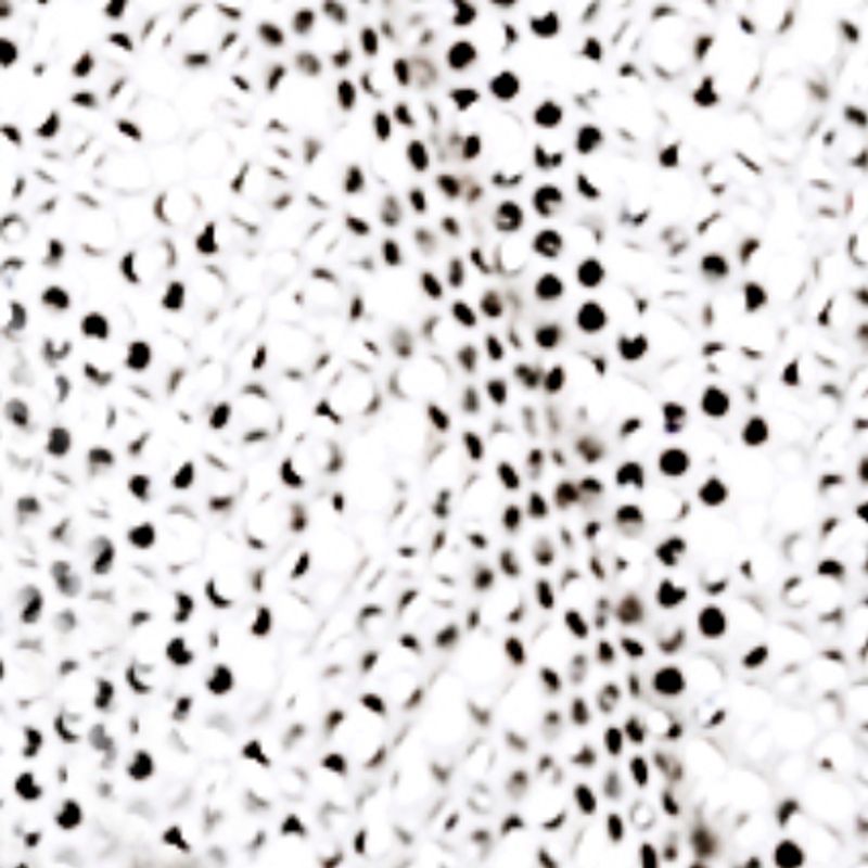 blanco_textura
