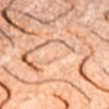 rosado-verde_textura