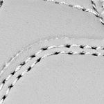gris_textura