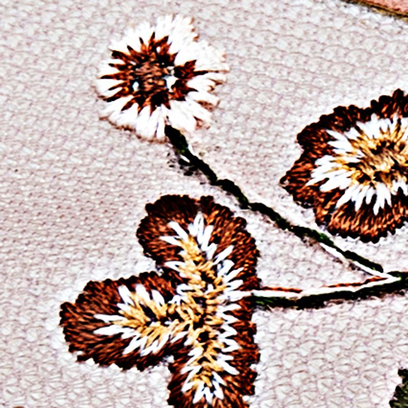 nude_textura