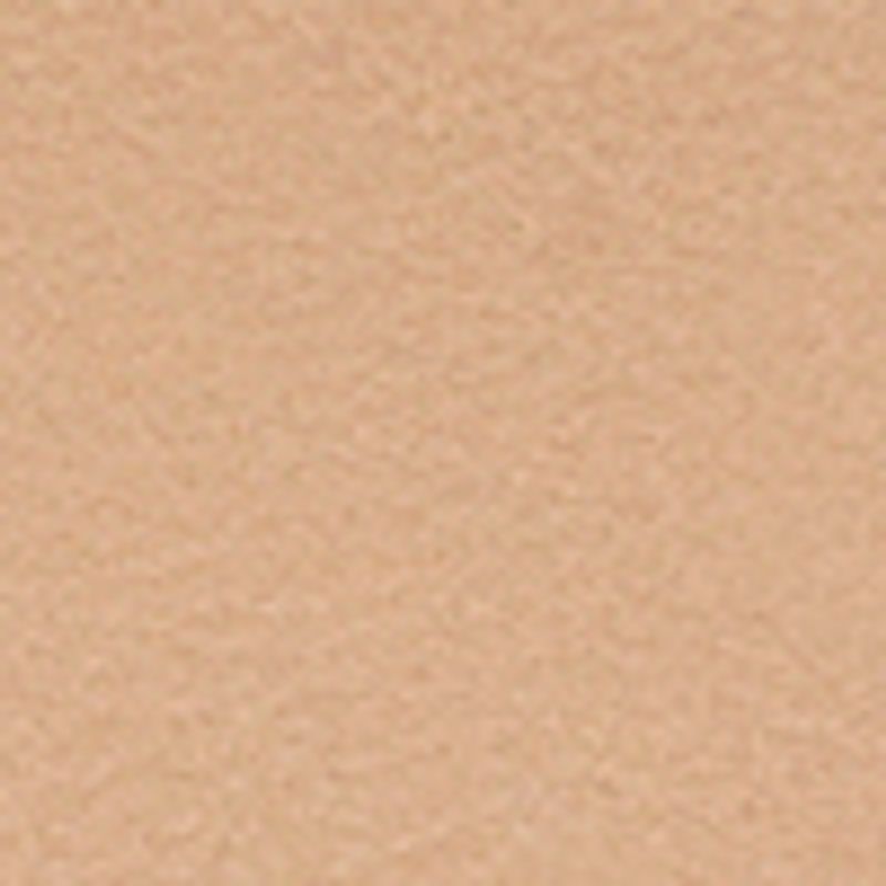 camel_textura