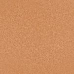 camel_textura