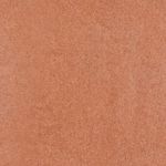 camel_textura