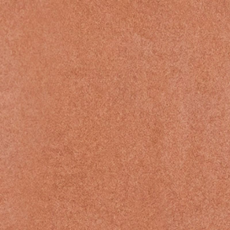 camel_textura