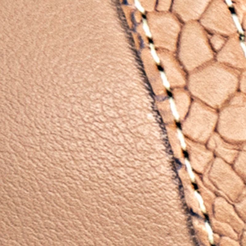 camel_textura