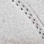 beige_textura