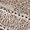 Textura