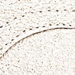 beige-rosado_textura