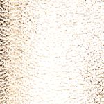 dorado_textura