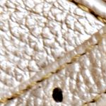dorado_textura