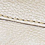 champaña_textura
