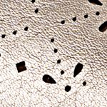 champaña_textura