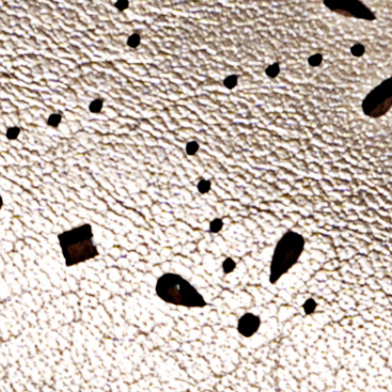 champaña_textura