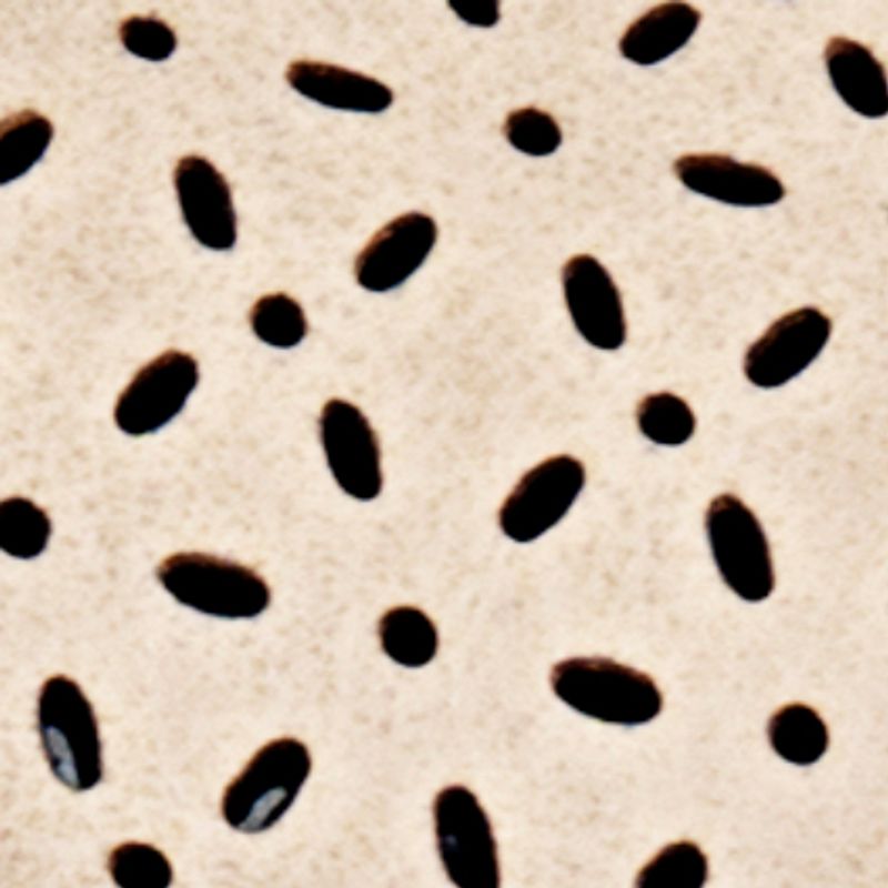 nude_textura