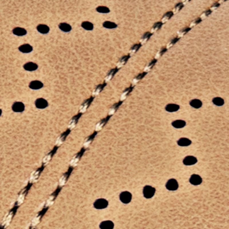 camel_textura