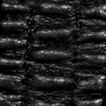 negro_textura