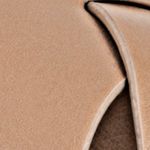 camel_textura