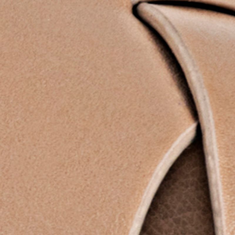 camel_textura