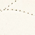 beige_textura