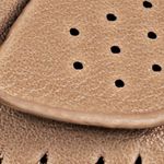 camel_textura