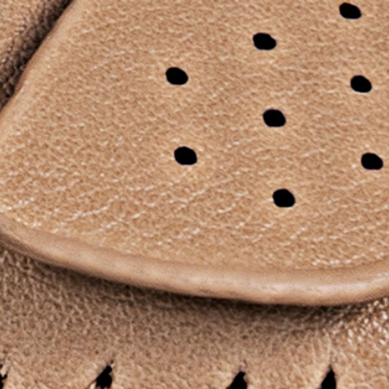 camel_textura