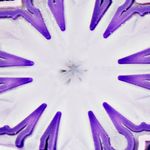 blanco-lila_textura