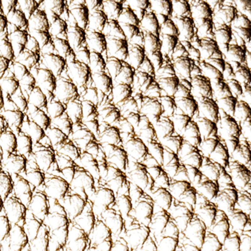 champaña_textura