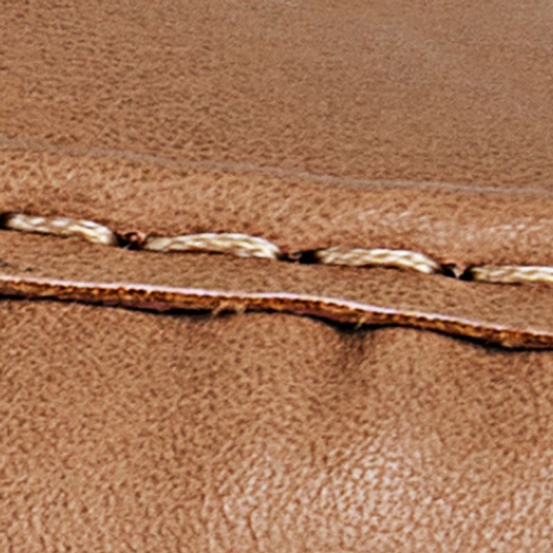 camel_textura