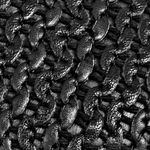 negro_textura