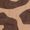 Textura