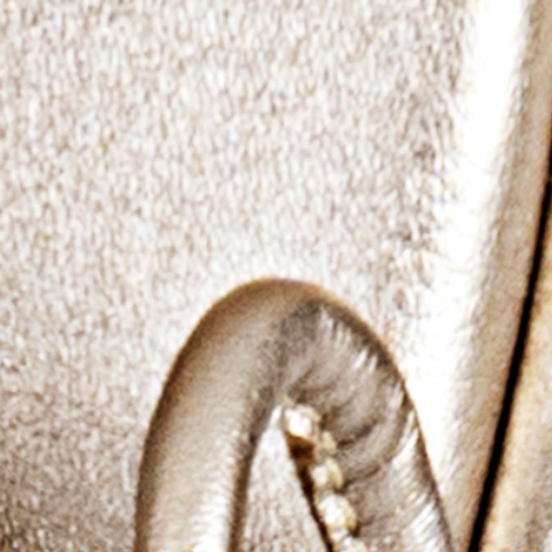 champaña_textura
