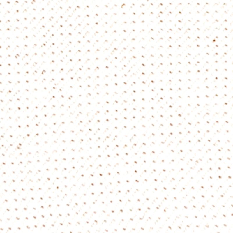 beige_textura